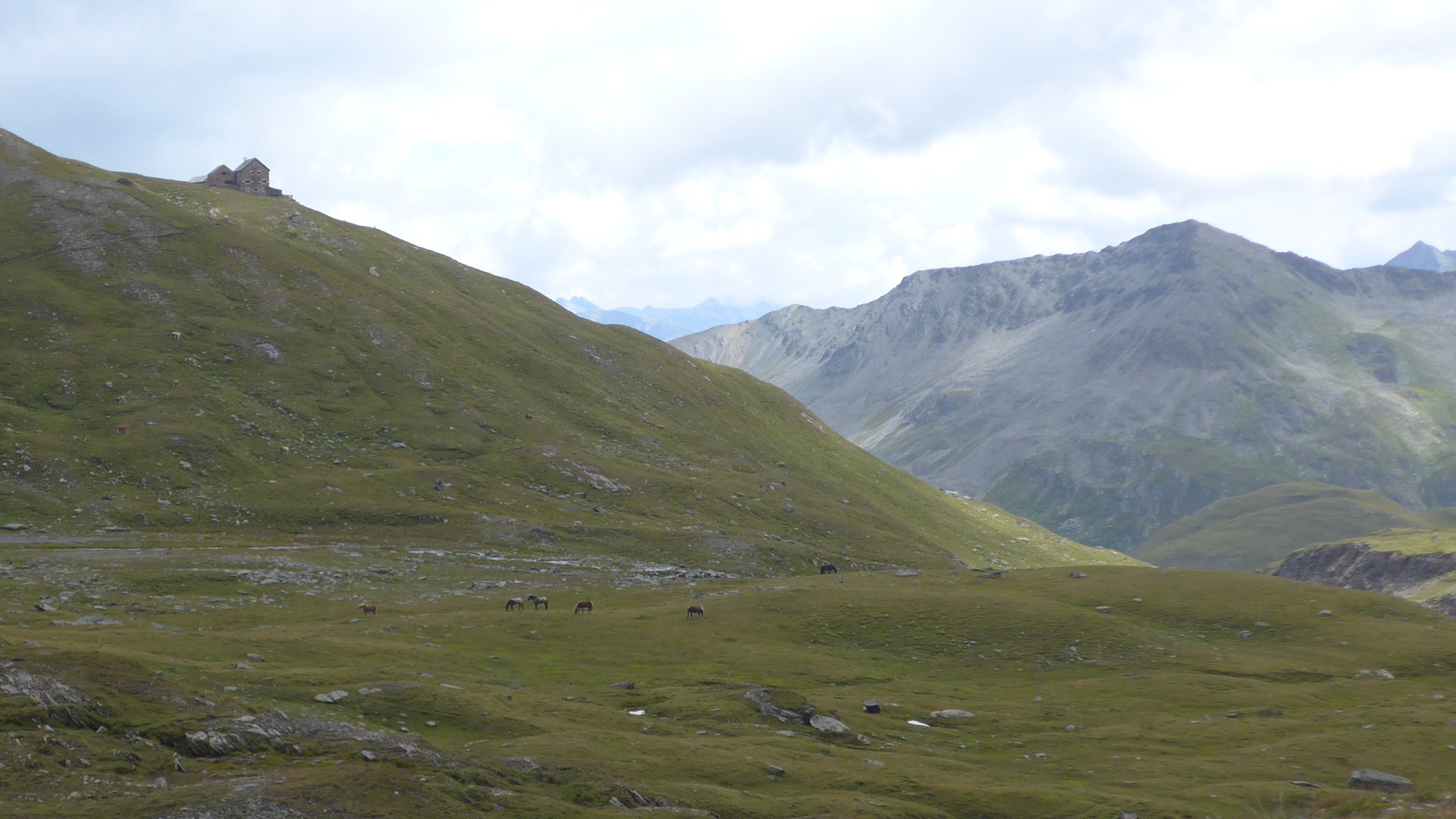 Salmhütte